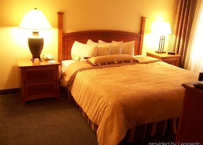 Hotel Staybridge South, An Ihg Springfield